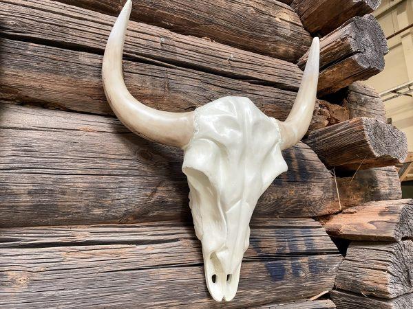 Buffalo schedel. Bij Bouwie vindt u mooie accessoires, zoals deze buffalo schedels.